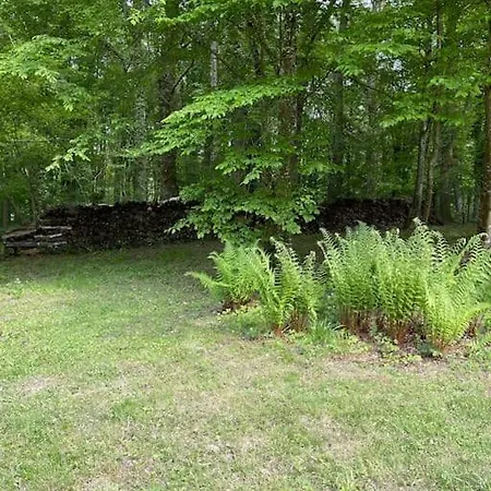 Gite Les Reculons Au Pied Du Lac Les Midoux Extérieur photo