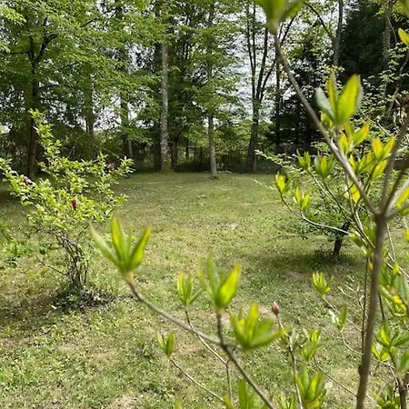 Gite Les Reculons Au Pied Du Lac Les Midoux Extérieur photo