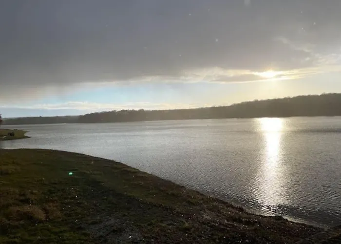 Gite Les Reculons Au Pied Du Lac